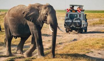 Jeunes adultes (18 - 39)