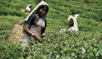 Sri Lanka Classic (voyage en groupe) circuit