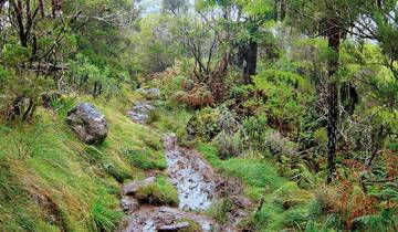 La Reunion - Island of a thousand faces