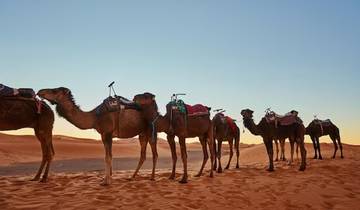 Circuit de 5 jours dans le désert du Sahara au Maroc depuis Marrakech circuit