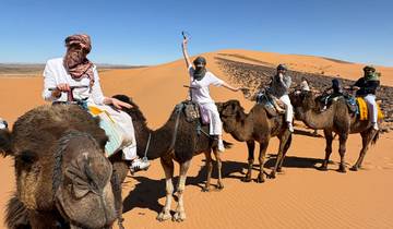 9 jours . 9 nuits Circuit désert et côte du Maroc circuit