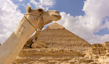 8-daagse luxe rondreis door Egypte: Caïro, Luxor, Aswan en een cruise op de Nijl-rondreis