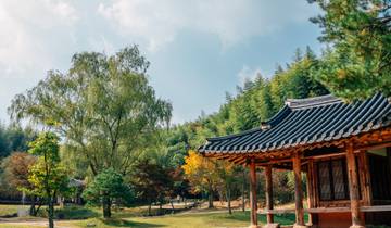 Beijing, Korea, and Traditional Japan