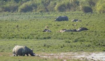 Kaziranga National Park Tour Paket