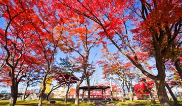 Japon traditionnel et nord du Japon