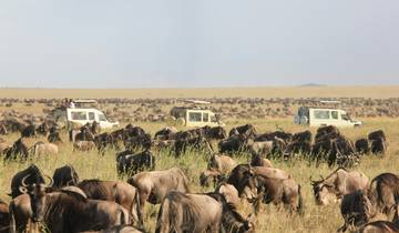 7 jours de safari en pleine nature circuit
