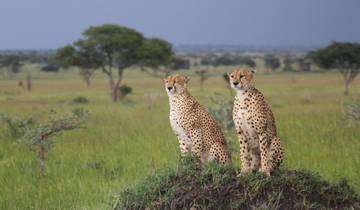 11 Tage - Tansania Safari, Victoriafälle und Okavango Delta Rundreise