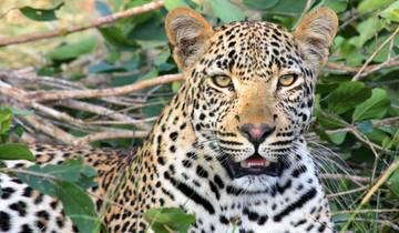 17 Tage Das Beste aus Tansania, Kenia und Madagaskar Rundreise