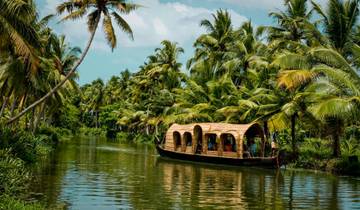 India tussen kruiden en backwaters
