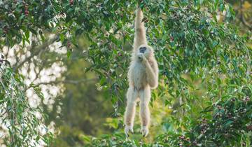 Phuket, Khao Sok & Bali (3 sterren) - 11 dagen