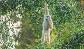 Phuket, Khao Sok & Bali – 11 dagen