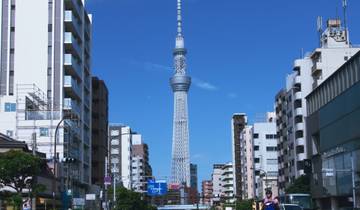 Tokyo et Hakone, porte du Mont Fuji (4 étoiles) - 4 jours