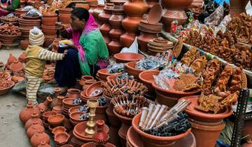 Rajasthan Erfgoed en Wildlife met Taj Mahal Tour-rondreis