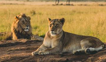 Safari de 4 jours en Lodge de luxe de catégorie moyenne et 1 nuit en camping circuit