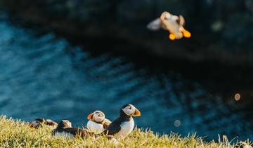 Die Mystische Runde durch Island (15 Tage)