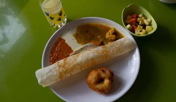 Kerala & the Tropical South