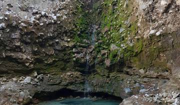 Signature Costa Rica | Where the Wild Answers