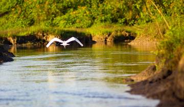 Signature Costa Rica | Where the Wild Answers