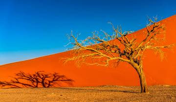 Circuits de luxe vers Namibie