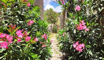 Albanian Coastal Path (8 Days) Tour