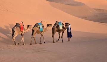 Circuit de 7 jours au Maroc au départ de Casablanca : Fès, Chefchaouen, désert du Sahara et Marrakech circuit