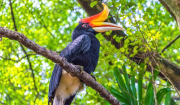 15 Day Borneo Itinerary, incl. Kuching and Sandakan