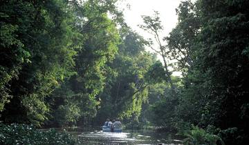 15 Day Borneo Itinerary, incl. Kuching and Sandakan
