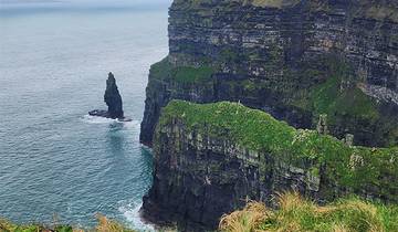 Jeunes adultes (18 - 39)