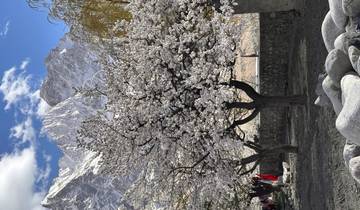 Circuito Expedición «Hunza Blossom»: 12 días en Gilgit-Baltistán, Pakistán
