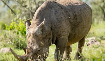 Les points forts du Népal : Katmandou, Chitwan et Pokhara circuit
