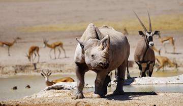 13 Days in Namibia, incl. Windhoek and Etosha National Park
