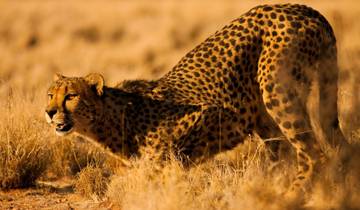 13 Days in Namibia, incl. Windhoek and Etosha National Park