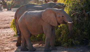 13 Days in Namibia, incl. Windhoek and Etosha National Park