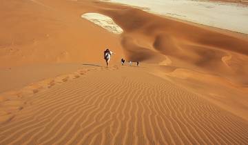 13 Days in Namibia, incl. Windhoek and Etosha National Park