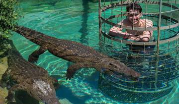 3-Daagse Kaapstad - Attractie: Krokodil Duikkooi & Cape Point & Wijnproeverij + Overnachting-rondreis