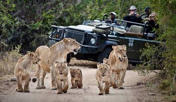 Safari en grupo reducido de 3 días por la Ruta de los 5 Grandes desde Ciudad del Cabo y visita guiada privada al Cabo de las Agujas
