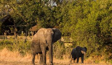 Kaapstad 3-Daagse Overnachting Big Five Safari Wildreservaat &Privérondleiding Kaap Schiereiland Pinguïn hele dag-rondreis
