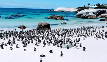 Dag-3,Kaapstad Zuid-Afrika Cape Point Penguins Tour;Tafelberg Tour met kabelbaan Einde Kaapstad Inverdoorn Game Reserve Tour-rondreis