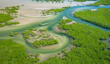 Senegal en Gambia (11 bestemmingen)