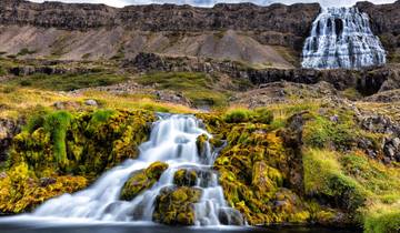 Explorateur d'aurores boréales - Douglas Mawson