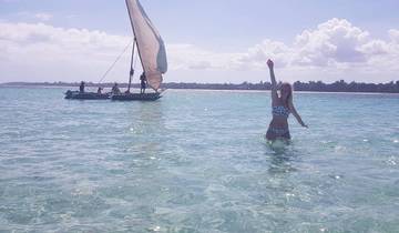 Half Day Glass Boat Tour to Robinson Island from Diani Beach Tour