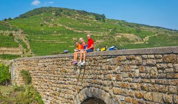 Rheinromantik - Speyer, Heidelberg, Worms - 4 Tage (4 Tage)