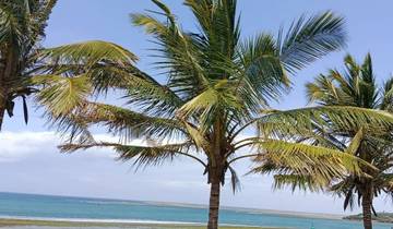 Half Day Tuk Tuk Tour: Discover Mombasa with a Local Tour