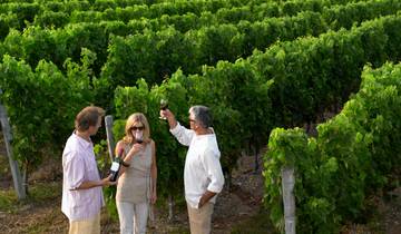 Die Geschmäcker des Elsass: Wandern an der Weinroute (5 Tage)