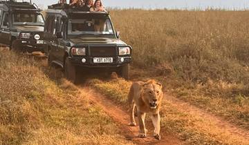 Nairobi National Park, Elephant Orphanage and Giraffe Centre Day Trip Tour