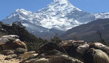 Mera Peak (Himalaya) - Guidée *TREK*CLIMB* (All Inclusive)