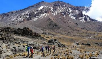Kilimanjaro via Lemosho Route ~ Guided *TREK*CLIMB* Tour