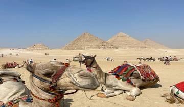 Egyptian, Peak Adventures ~ Guided *TREK*CLIMB*SOAR*SAIL Tour