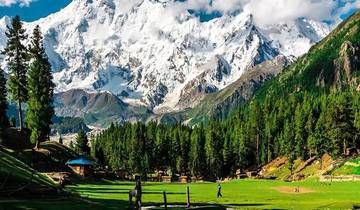 Fairy Meadows and Nanga Parbat *TREK*