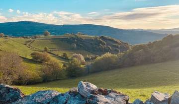 Camino (Francés) QB (Queensland Ballet) ~ Guided *TREK*